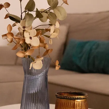 Radeshi House Apartmán *