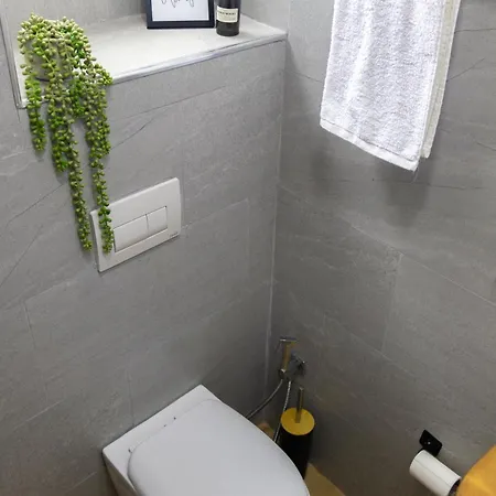 Apartmán Radeshi House *