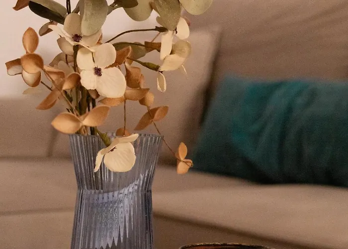 Radeshi House 公寓 *